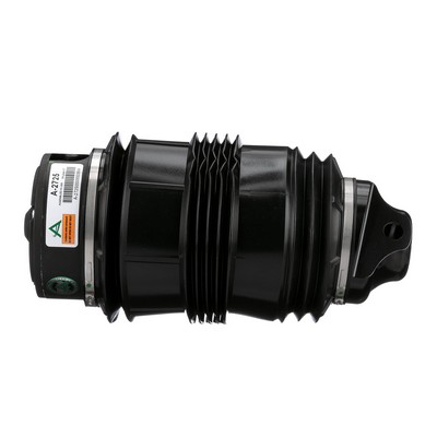 Arnott A2113201325 Ilmajousi A-2725