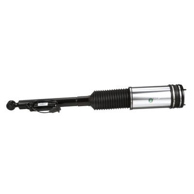 Arnott Amortecedor pneumático AS-2194