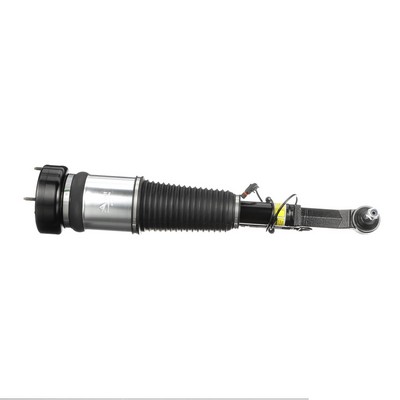 2213201738 OE Arnott Air suspension strut AS-2853