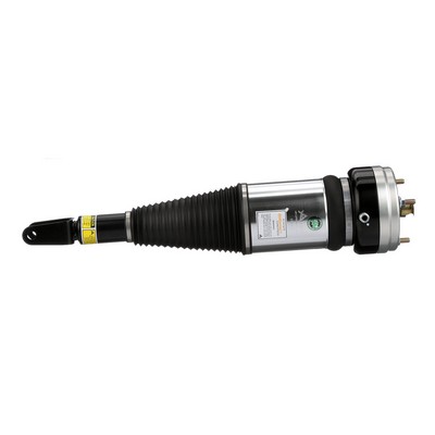 Arnott AS-2855 Lexus IS XE10 Luftfederung original kosten