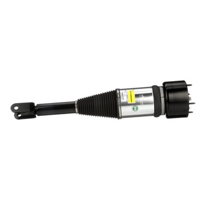 C2C28534 OE Arnott Amortisseur pneumatique AS-2890