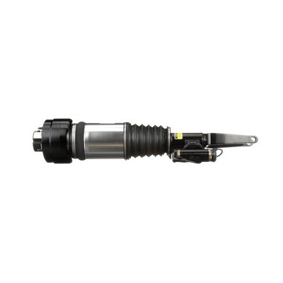 Arnott Amortecedor pneumático AS-3000