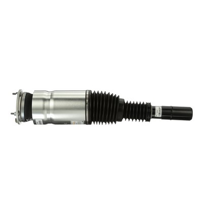 LR079515 OE Arnott Ammortizzatore pneumatico AS-3067