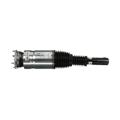 AS-3368 Arnott LR052788 Luftfederbein