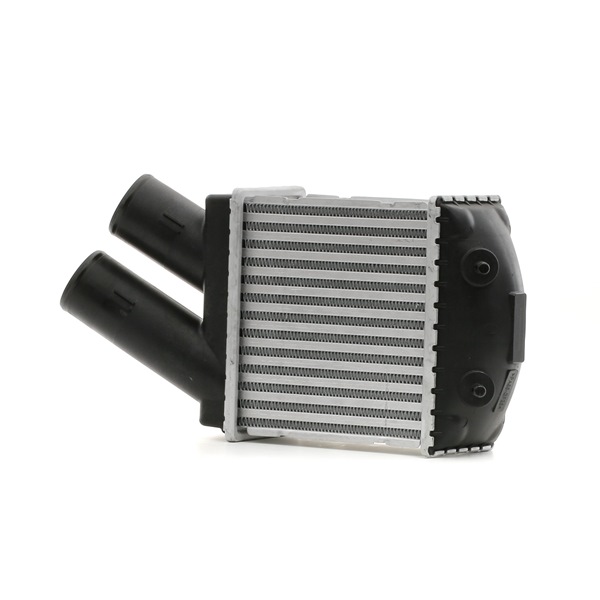 STARK SKICC-0890060 Turbo intercooler Dacia Logan LS 1.5 dCi Diesel 65 CV 2023 prezzo