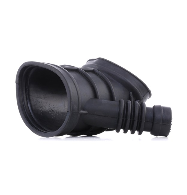 13541437191 OE RIDEX Tubo aspirazione filtro aria 1591I0002