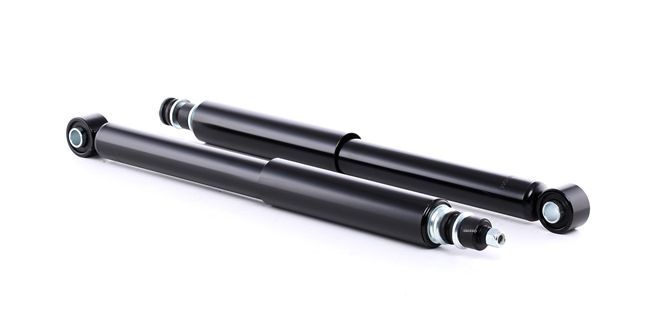 854S2178 RIDEX 4853060091 Stoßdämpfer