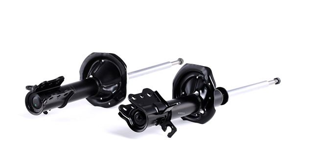 854S1684 RIDEX B30D28900A Stoßdämpfer
