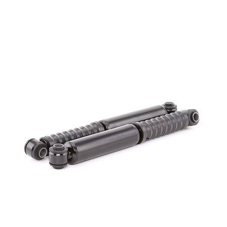 854S1685 RIDEX 5206H1 Stoßdämpfer