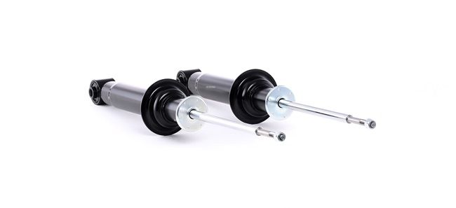 33521133601 OE RIDEX Ammortizzatore 854S1810