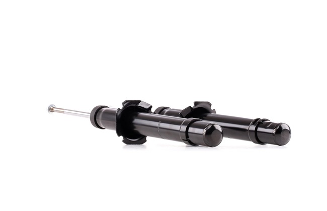 51605SEAE02 OE RIDEX Shock absorber 854S1925