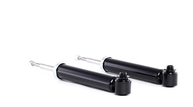 RIDEX 854S1934 Shock absorber BMW 5 Touring (E61) 545i 4.4 Petrol 333 hp 2010 price