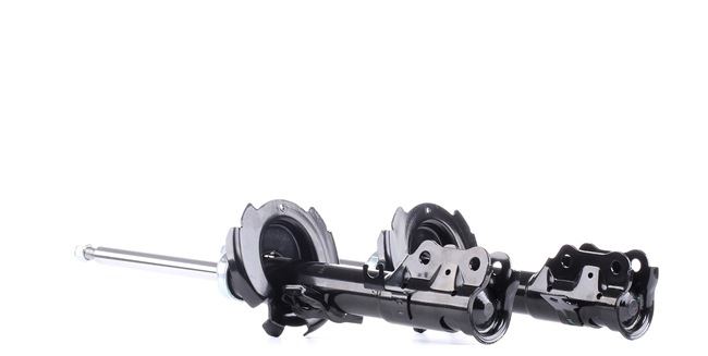 DF7134900G OE RIDEX Støtdemper 854S1963