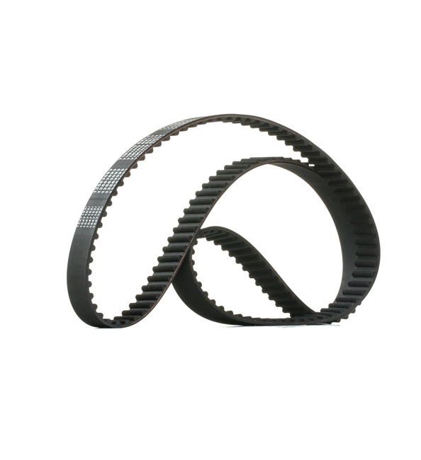 081668 OE RIDEX Tandrem 306T0205