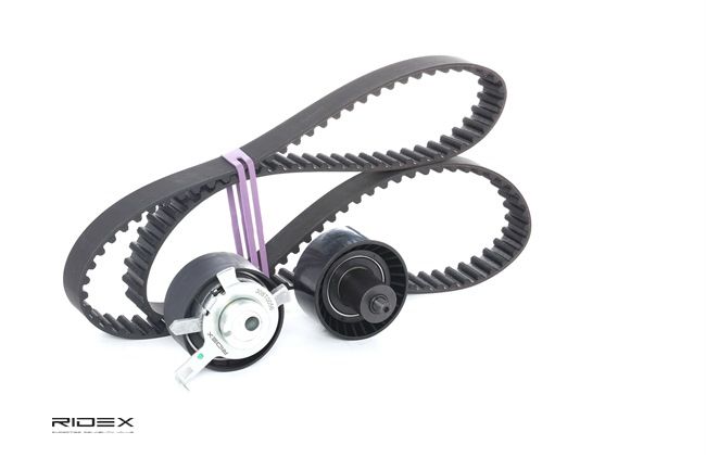 RIDEX 978M6268A1A Hammashihnasarja 307T0030