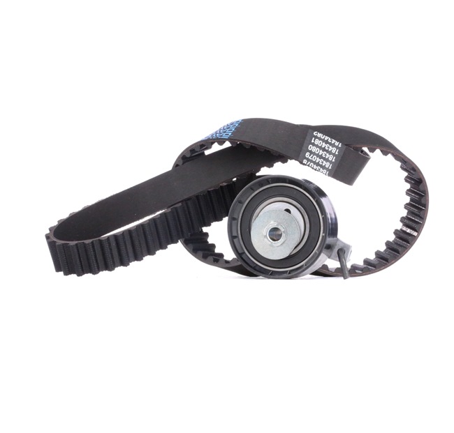 RIDEX 307T0059 Timing belt kit FORD Fiesta Mk6 Hatchback (JA8, JR8) 1.4 Petrol 97 hp 2017 price