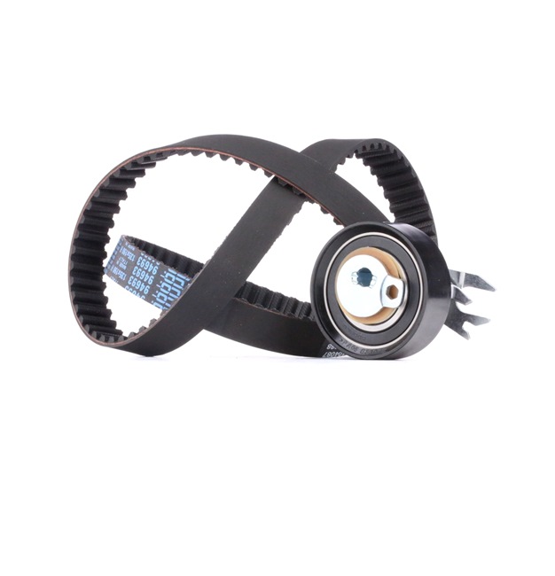 16100811 OE RIDEX Kit de distribution 307T0080