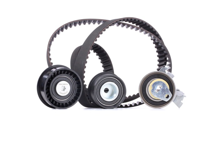 RIDEX 93174120 Distributieriem set