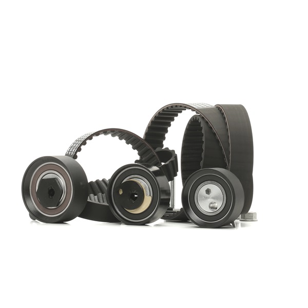 RIDEX 307T0170 Cam belt kit VW LT 28-35 II Bus (2DB, 2DE, 2DK) 2.5 TDI Diesel 95 hp 2004 price