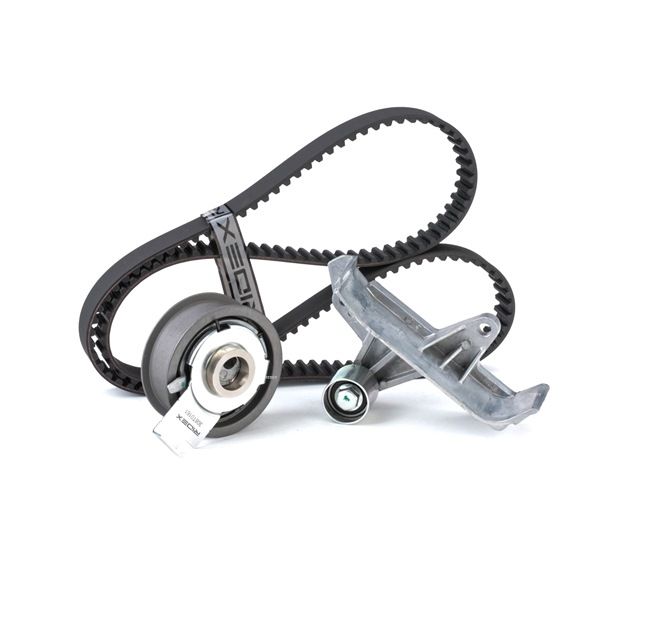 RIDEX 06B198119C Distributieriem set