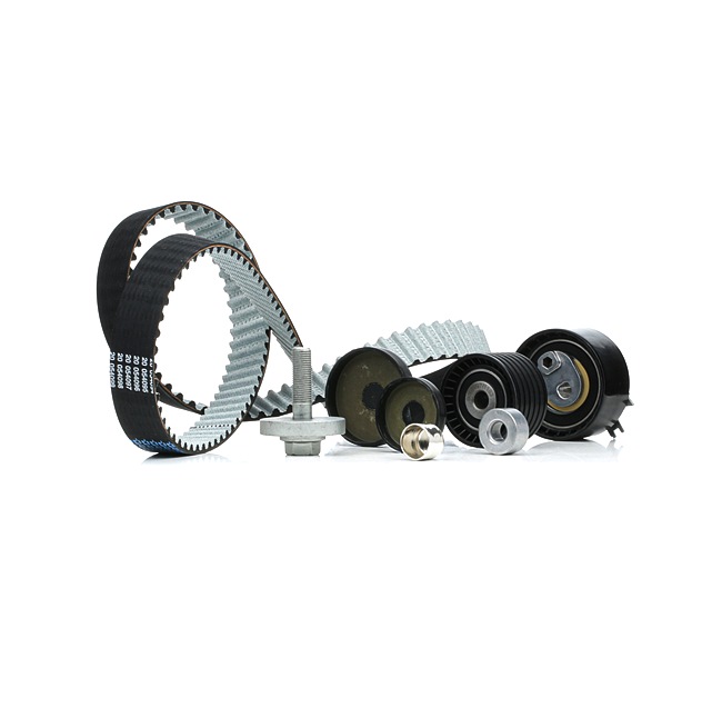RIDEX 307T0188 Timing belt kit RENAULT Scénic III (JZ0/1_) 1.6 16V (JZ0U, JZ1B) Petrol 110 hp 2016 price