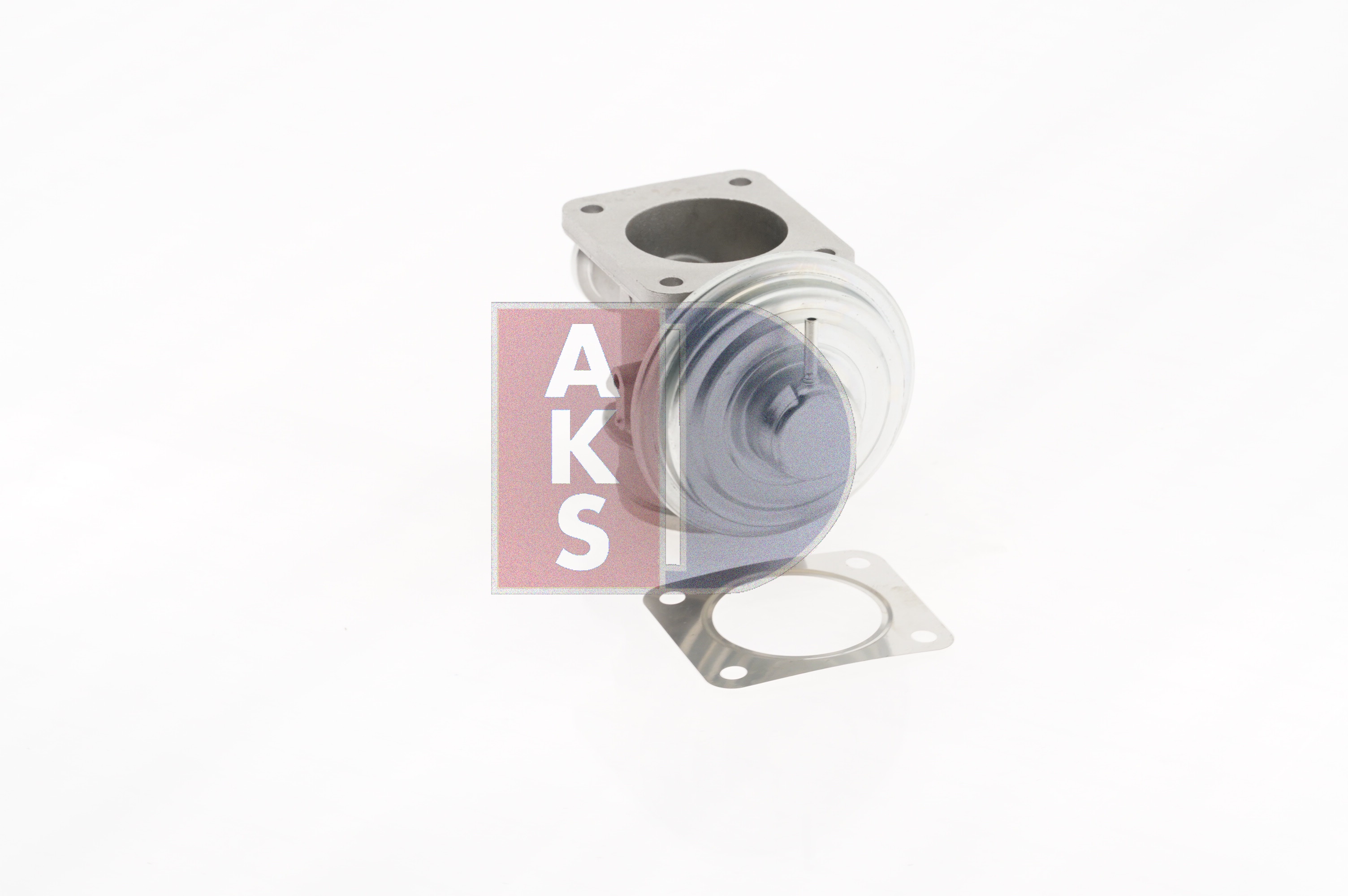 AKS DASIS EGR klep 055024N