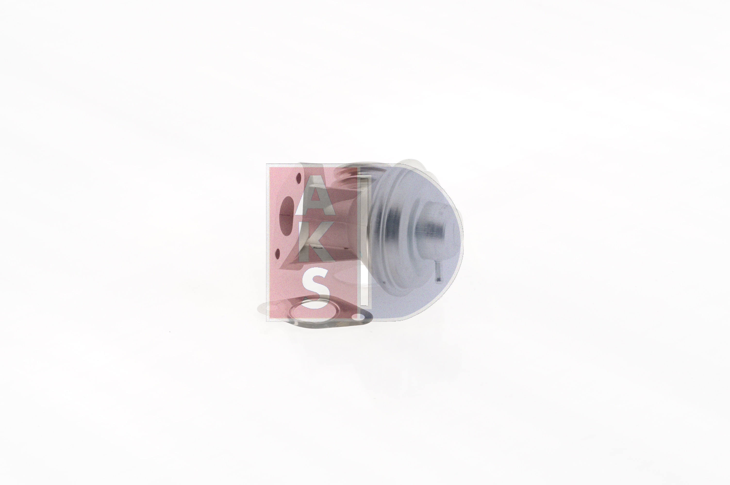 Y40120300 OE AKS DASIS Valvola EGR 065017N