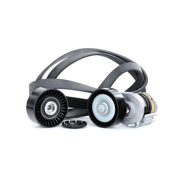 RIDEX 038903315AP Poly V-riem set