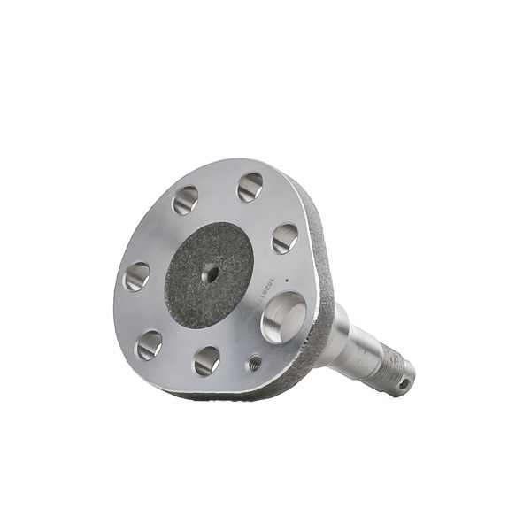 RIDEX 653W0166 Wielnaaf VOLKSWAGEN Polo Classic (6V2) 1.9 TDI Diesel 110 Pk 2002 kosten