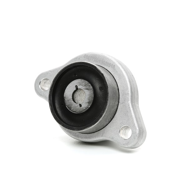 251T0509 RIDEX Silentblock de brazo de suspensión MERCEDES-BENZ Clase E