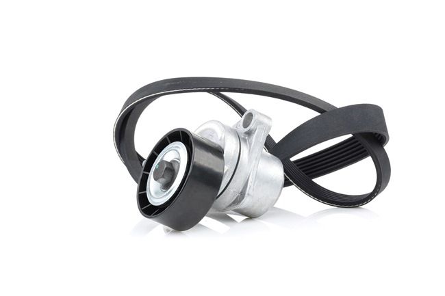 5750WY OE RIDEX Jeu de courroies trapézoïdales à nervures 542R0006