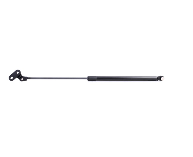 RIDEX 219G0431 Boot struts NISSAN MICRA I (K10) 1.0 Petrol 54 hp 1989 price