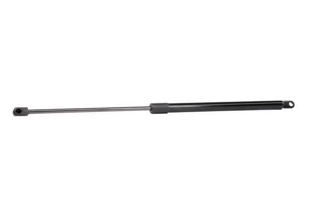 RIDEX 605025230 Gasveer achterklep