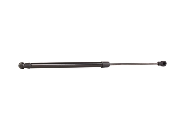 Amortiguador de maletero 6025306563 RIDEX 219G0485