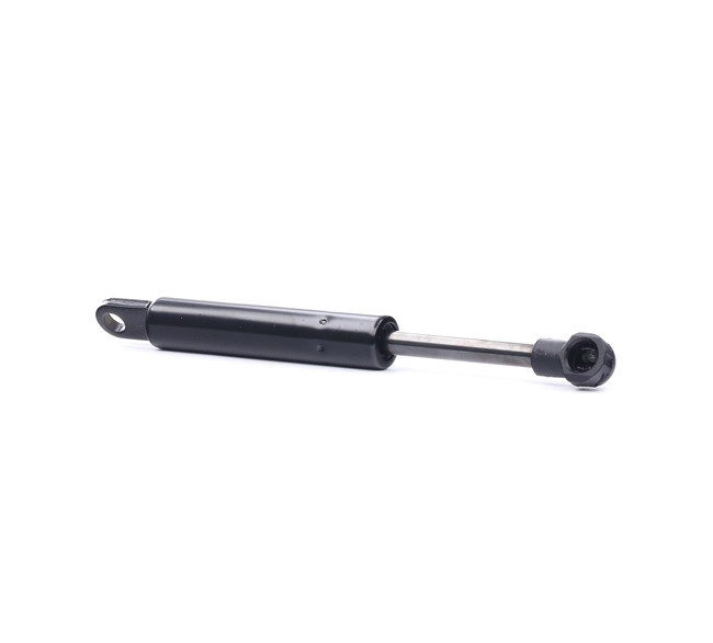 RIDEX 219G0670 Vérin de coffre RENAULT Megane I Coupé (DA, DA0/1) 1.9 dTi Diesel 98 CV 2001 prix