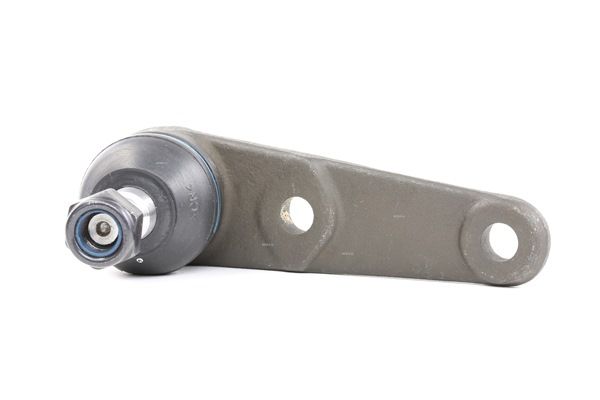 410519 OE RIDEX Rótula de suspensão 2462S0220