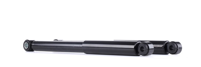 RIDEX 854S0900 Dämpfer Nissan Patrol GR Y61 4.8 Benzin 245 PS 2023