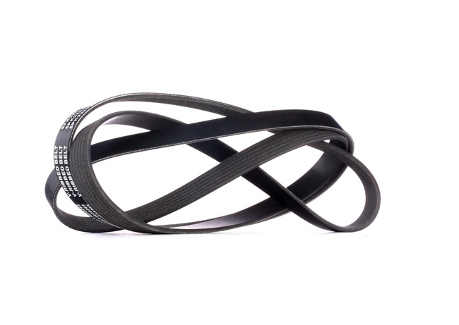 L51015909C OE RIDEX Keilrippenriemen 305P0216