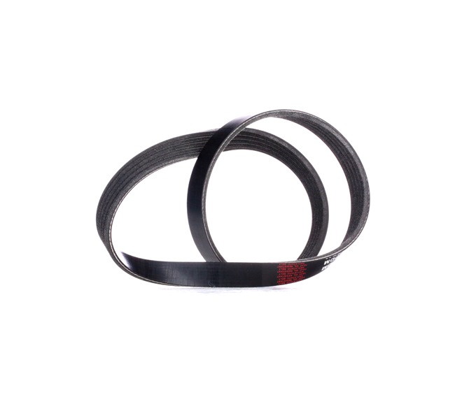 RIDEX 305P0329 Multirem RENAULT Clio II Hatchback (BB, CB) 1.2 (BB0A, BB0F, BB10, BB1K, BB28, BB2D, BB2H, CB0A,... Benzin 58 HK 2003 pris