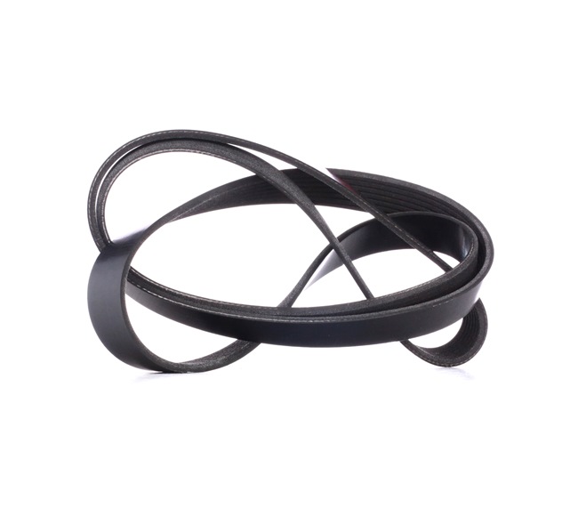 38920RBAE03 OE RIDEX Courroie Poly-V 305P0347