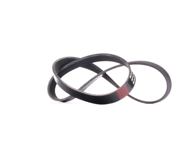 Correa trapecial poli V 11720VC200 RIDEX 305P0357