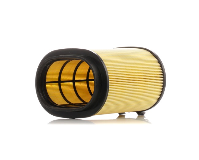 RIDEX 8A0517 Filtro dell'aria PORSCHE 911 Coupe (991) 3.8 Carrera S Benzina 400 CV 2015 prezzo