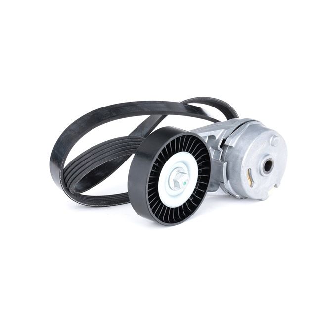 RIDEX 542R0013 Moniurahihna VAUXHALL Vectra Mk2 (C) Kombi (Z02) 2.0 16V Turbo Bensiini 175 hv 2006