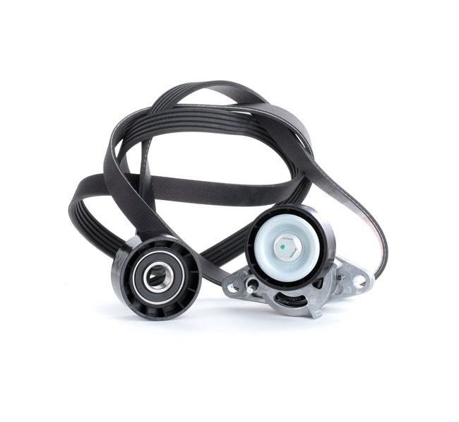 9G9Q6C344AB OE RIDEX Jeu de courroies trapézoïdales à nervures 542R0019