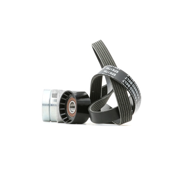 1192500Q0J OE RIDEX Keilrippenriemensatz 542R0020