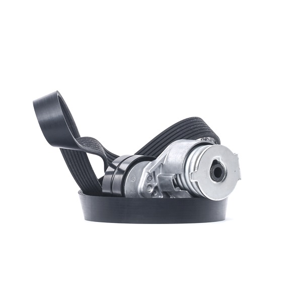RIDEX 542R0029 Комплект поликлинового ремня RENAULT MEGANE II универсал (KM0/1_) 1.9 dCi Дизель 92 л.с. 2007