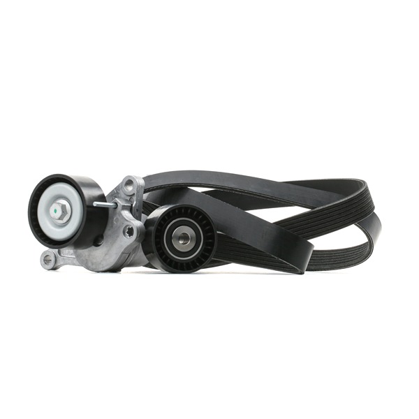 1175000Q2E OE RIDEX Keilrippenriemensatz 542R0032