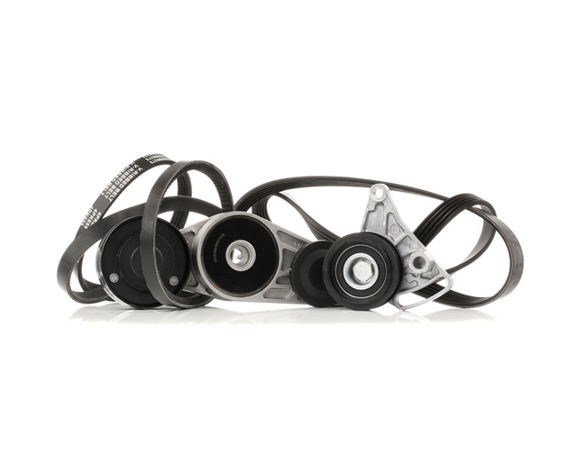 RIDEX 542R0037 Keilrippenriemensatz Passat B5 Variant 1.8 115 PS Benzin 2000