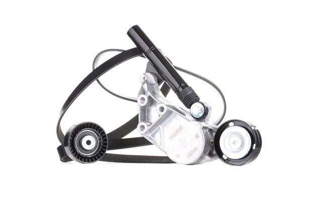 RIDEX 542R0040 V formos rumbuotas diržas, komplektas SKODA Octavia I Combi (1U5) 1.9 SDI dyzelinas 68 AG 1999