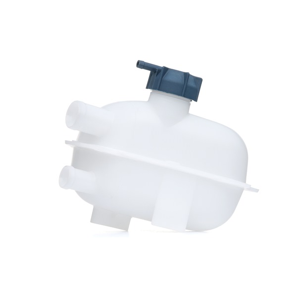 RIDEX 397E0027 Расширительный бачок VW TRANSPORTER III c бортовой платформой/ходовая часть 1.6 TD Дизель 70 л.с. 1992